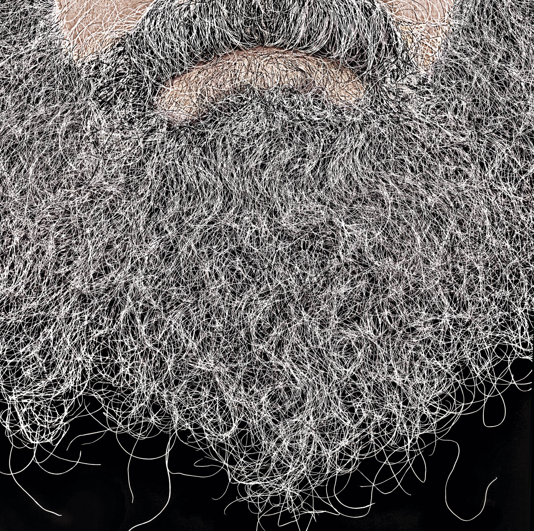 Les barbes_Dimitri Tolstoi